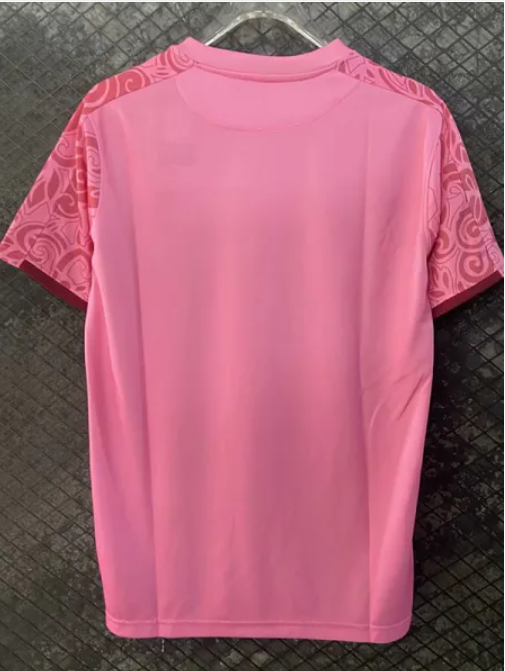 Maillots d'entraînement roses Palestine FC 2024-2025